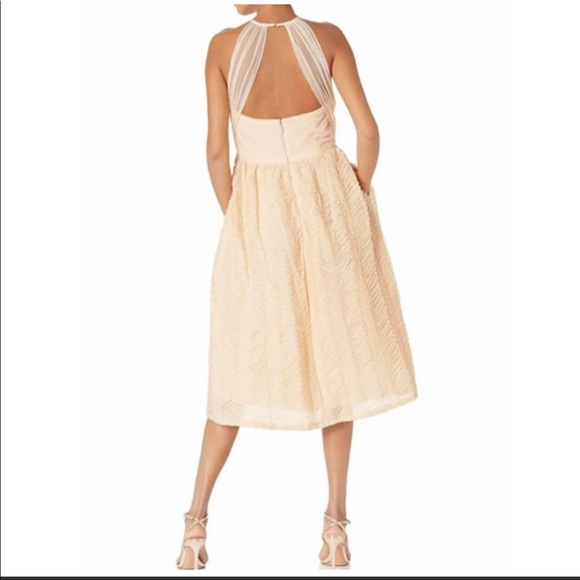 NWT ADRIANNA PAPELL SLEEVELESS SHIRRED TULLE MIDI DRESS - Picture 2 of 16